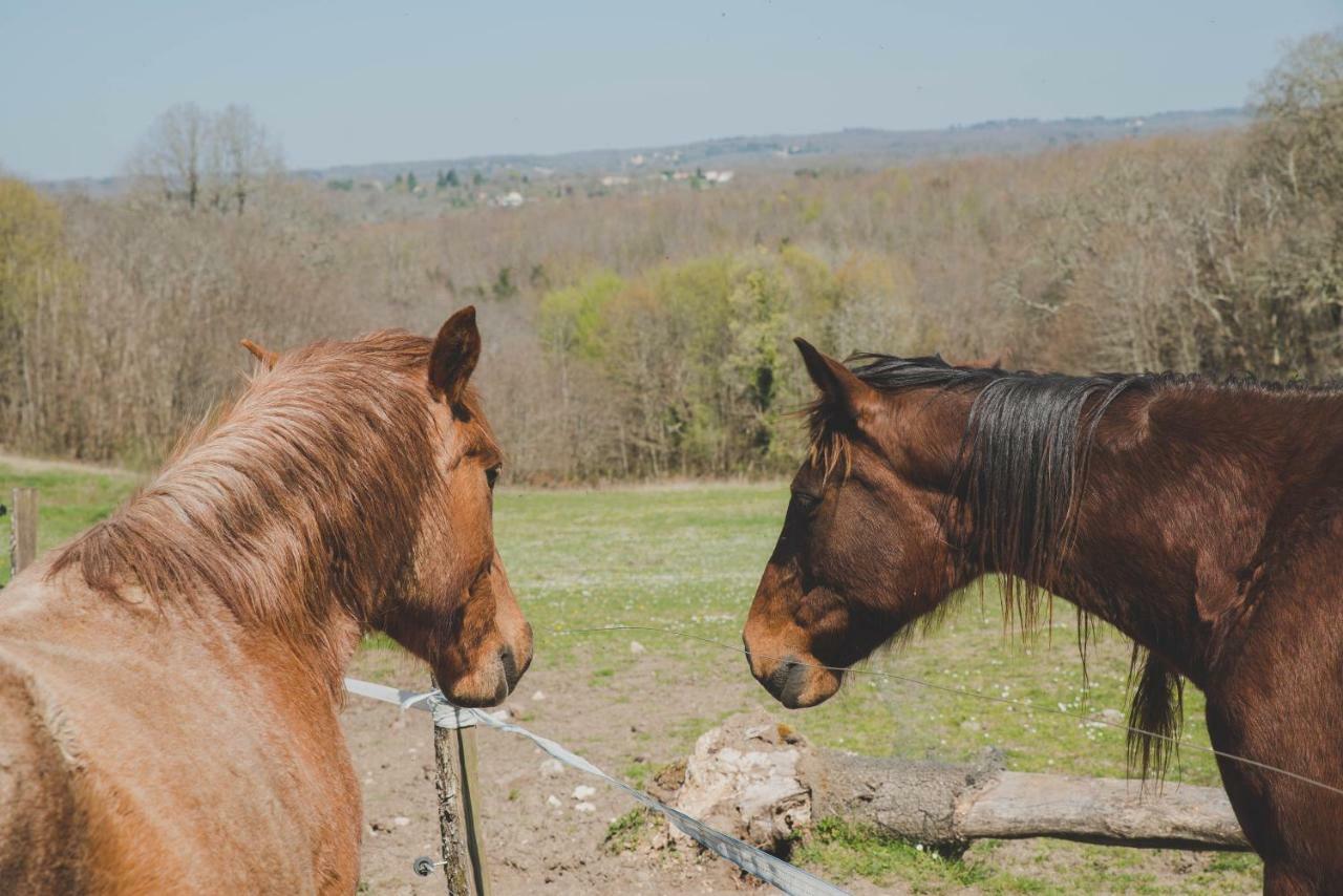 La Ferme De Bousserand Pontours Zewnętrze zdjęcie