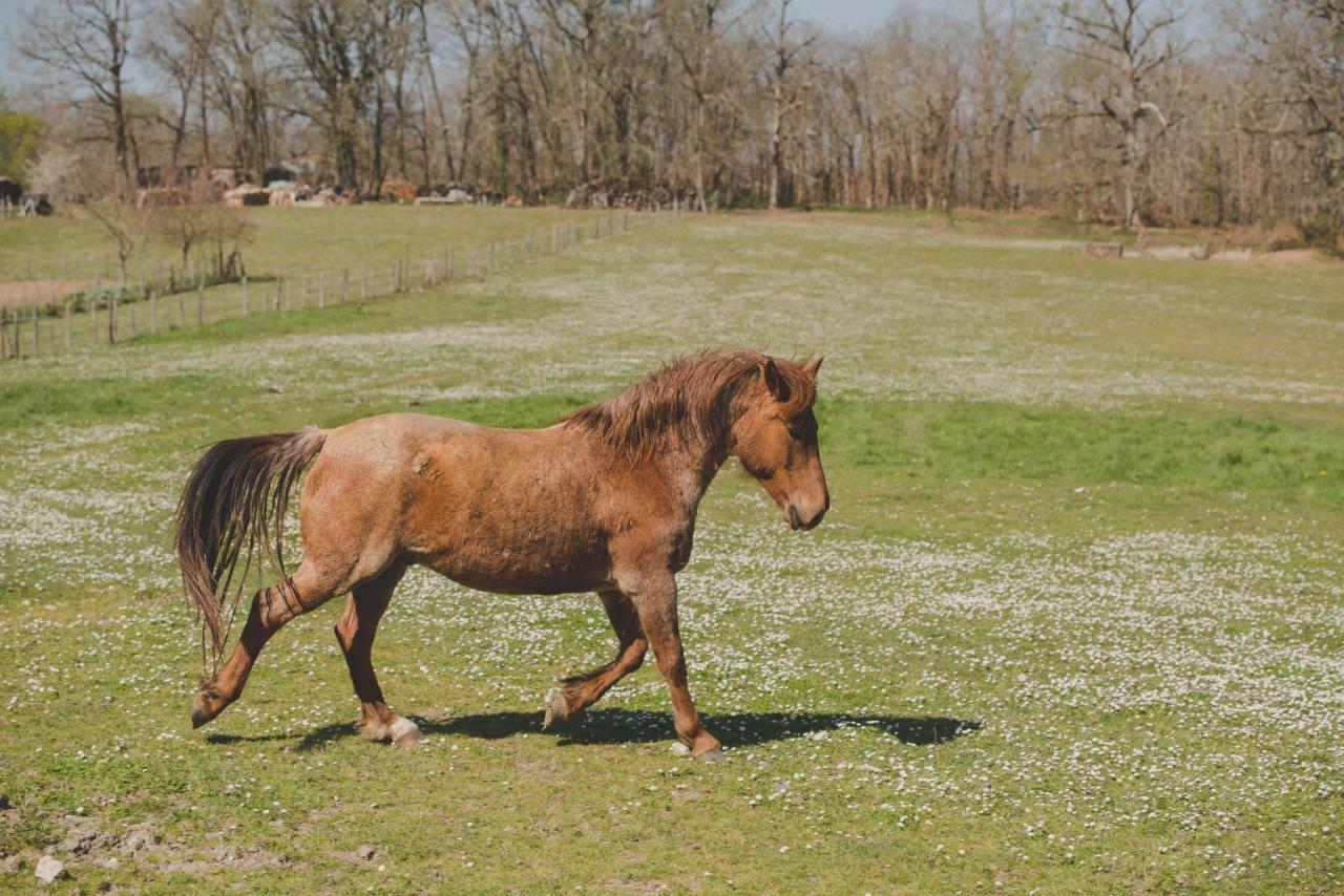 La Ferme De Bousserand Pontours Zewnętrze zdjęcie